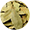 Bay-leaf