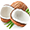Coconut